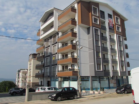 Image Not Found On Media Library