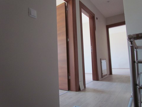 Image Not Found On Media Library