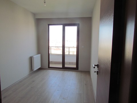 Image Not Found On Media Library