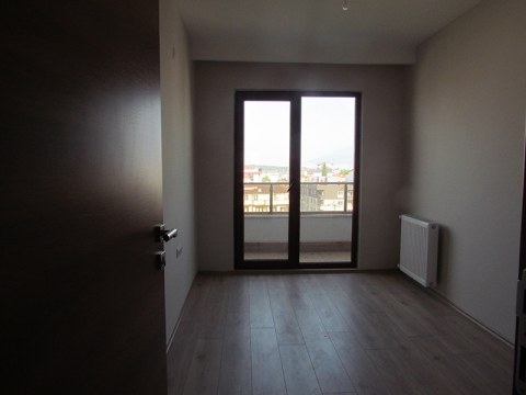 Image Not Found On Media Library