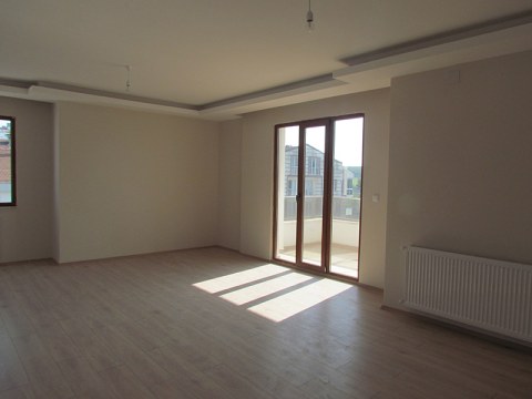 Image Not Found On Media Library