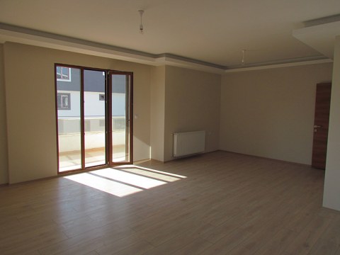 Image Not Found On Media Library